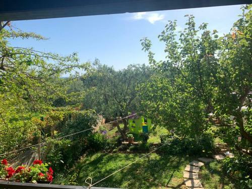 Apartman Dalija