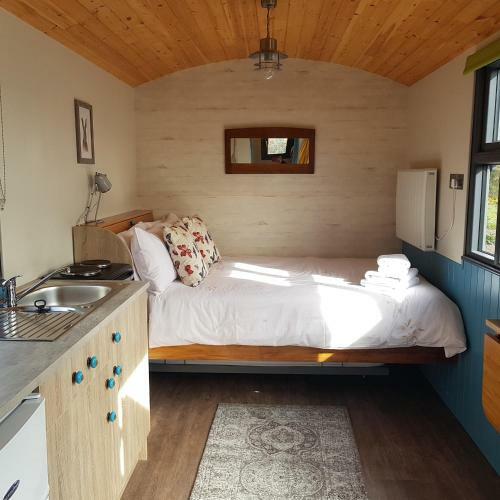 Hostal Dingle Way Glamping