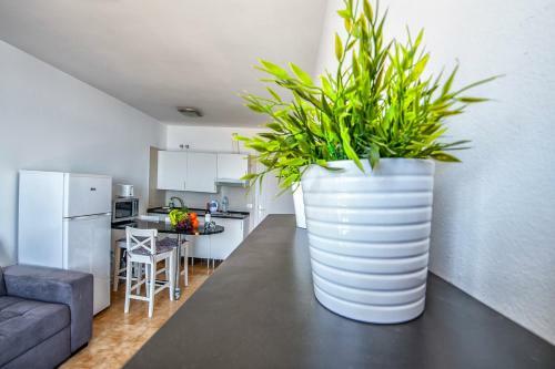 Apartment With Big Pool And Sea View