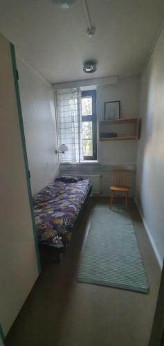 Albergue Ainola