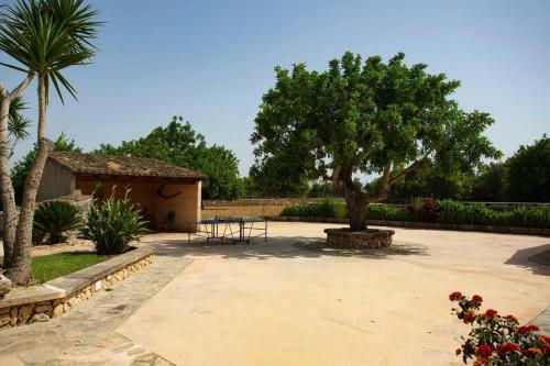 Finca Sestret