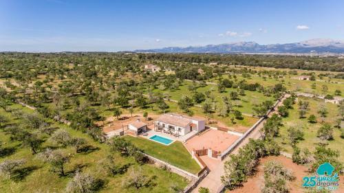 Villa Ses Nines