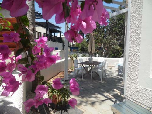 Magnolia Apartment
