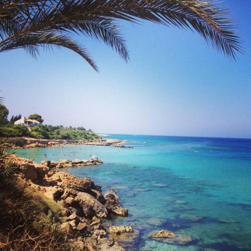 Apartamento Proteas Mare Suites