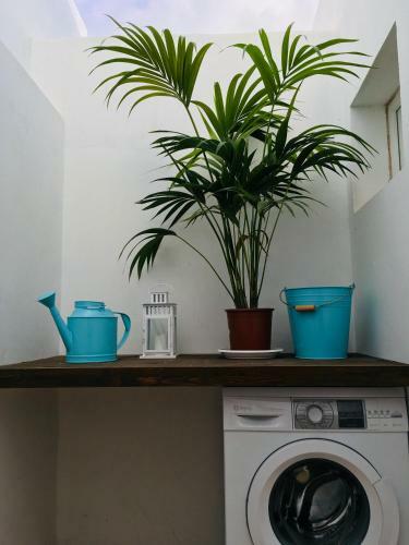 Apartamento The Little White House, Suite Flower Beach 9