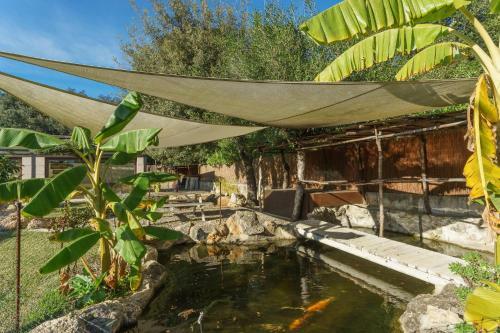 Villa Zen Mediterrani Pollensa