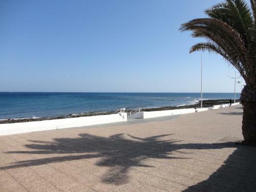 Apartamento Casa Cari�o