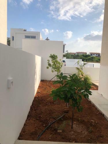 Afrodite Villa