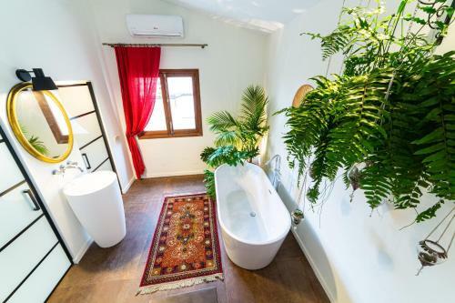 Hotel Flor De Mandarina