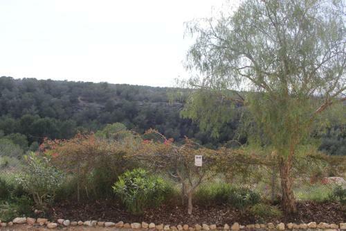Apartamento Appartement 179