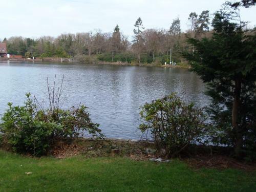 Lakeside Lodges