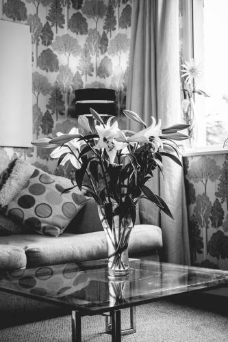 Hostal Tir Y Coed Country House