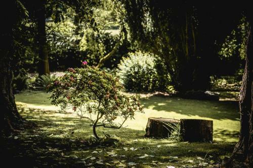 Hostal Tir Y Coed Country House