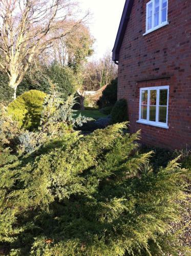 Thatched Farm Bed And Breakfast