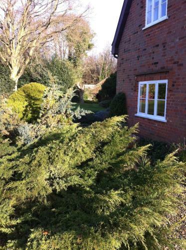 Thatched Farm Bed And Breakfast