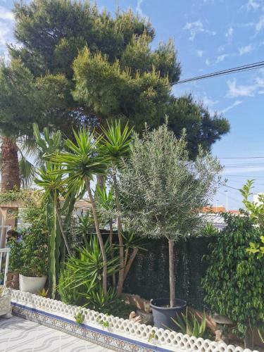 Apartment Gran Alacant