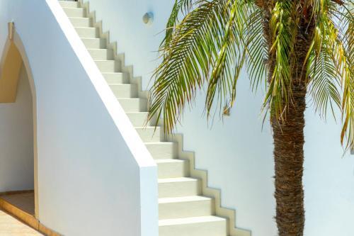 Protaras Villa Elena 3