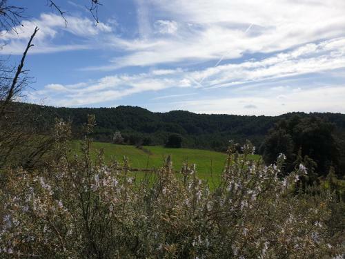 Agroturismo Masia L`ar�