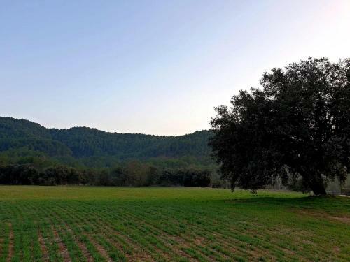 Agroturismo Masia L`ar�