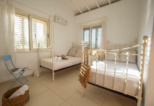 Protaras Artisan Seafront Villa