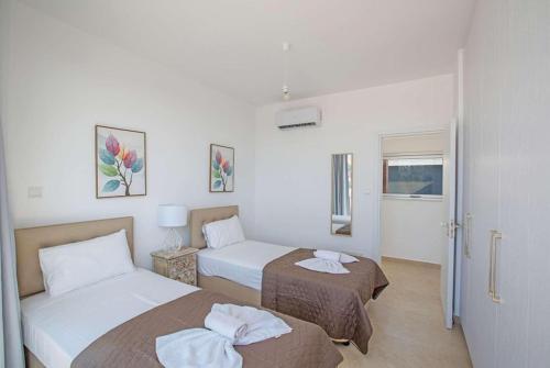 Villa Olive 19
