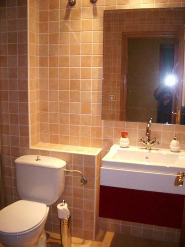 Amplio Apartamento En Canfranc Pueblo