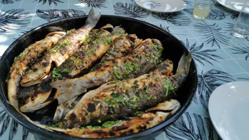 Apartmani Jadranka