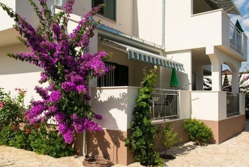 Apartmani Stjepan