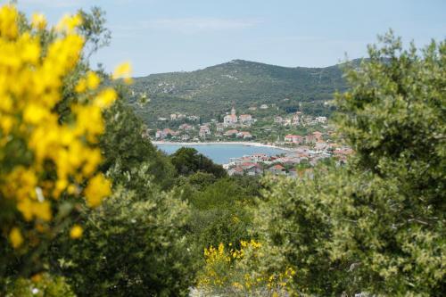 Apartman Paula 1