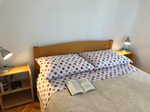Apartmani Oro?njak