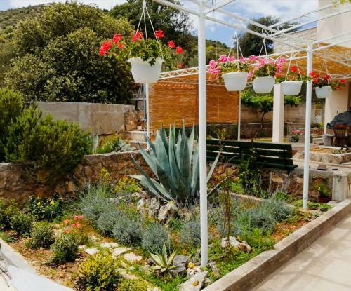 Apartamento Vila Ivana Dolores