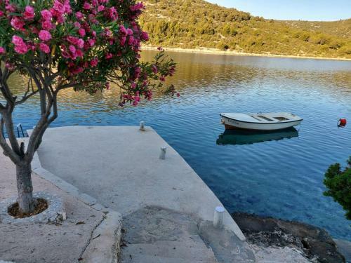 Apartment Astrid 5 M From Beach