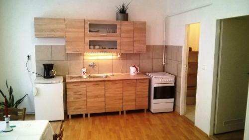 Skromn� Apartm�n V Centru Chebu