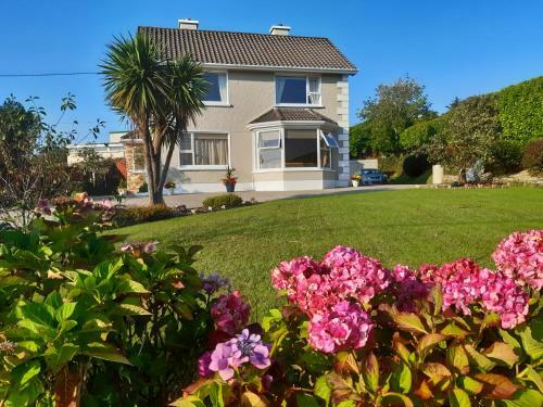 Bed & Breakfast Hillhead House