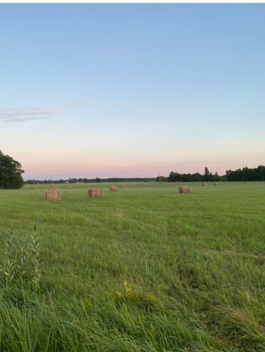 Hiiumaa Cottage Retreat Plus Sauna
