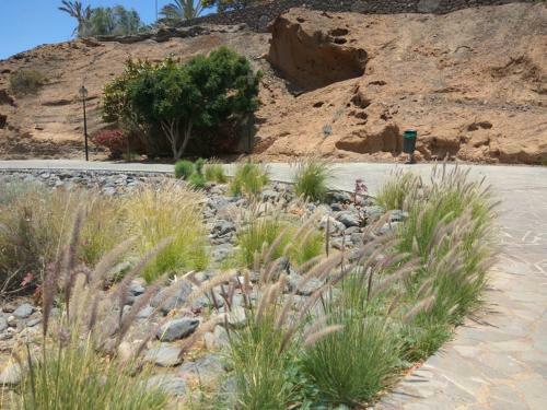 Apartamento Studio With Ocean View. 100 M Beach