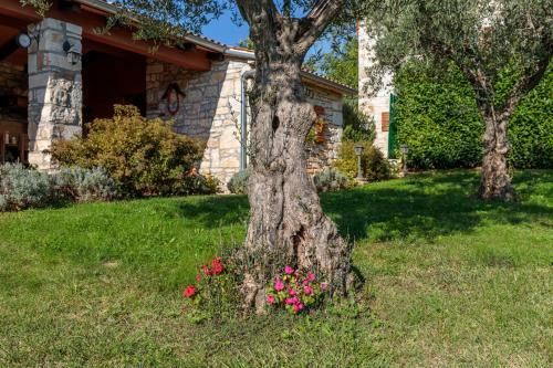 Holiday Home Tamaris With Pool