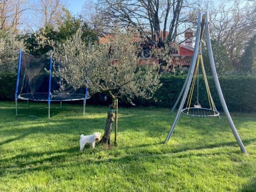 Apartman Vicinim Family Friendly