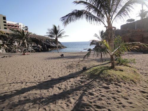 Apartamento Bungalow Villa Sun