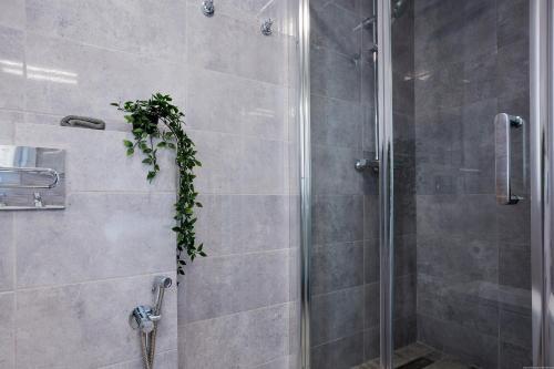 Apartamento Palm Mar De Lux - Primavera A 32