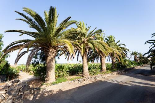Agroturismo Casita 3, Caserio de Guaza