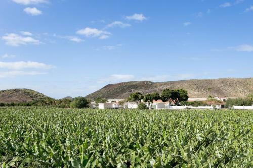 Agroturismo Casita 3, Caserio de Guaza