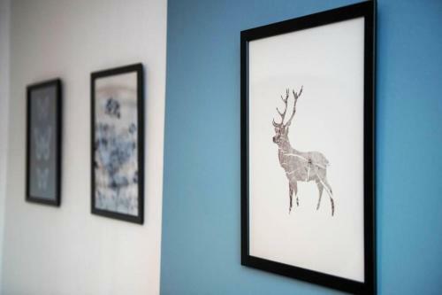 ? Stylish House . Aberdeen Rgu Nearby + Free Pkg