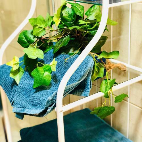 Apartamento Shanti, La Casa Azul