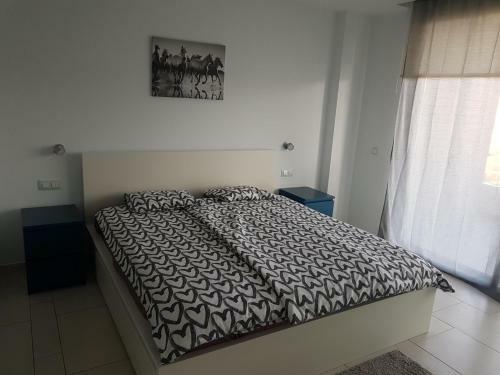 Apartment Tenerife Sur