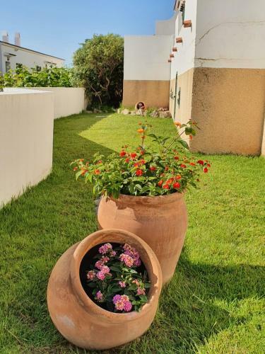 Apartamento Casa Pel�cano