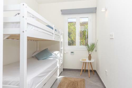 Apartment Can Company 2