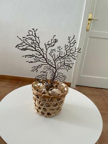 Apartamento El Coral