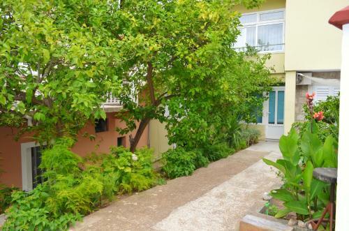 Spacious Apartment In The City Center