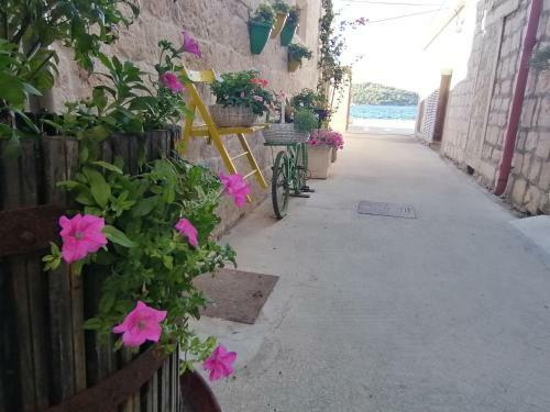 Hostal Guesthouse Kod Tri Palme